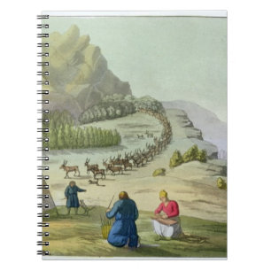 Ren in Herden lebend, überziehen Lappland, 47 von Notizblock