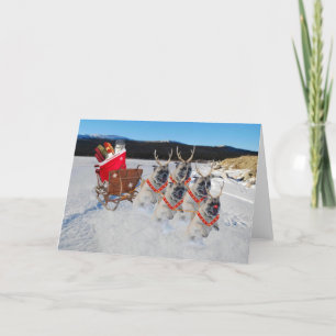 Ren-Möpse, die einen Sleigh der Spielwaren-Karte Feiertagskarte