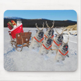 Ren-Möpse, die Sankt Sleigh Mousepad ziehen