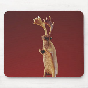 Ren, vom Kap Dorset Mousepad