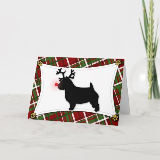 Ren-Weihnachtskarte Norwichs Terrier Feiertagskarte (Vorderseite)