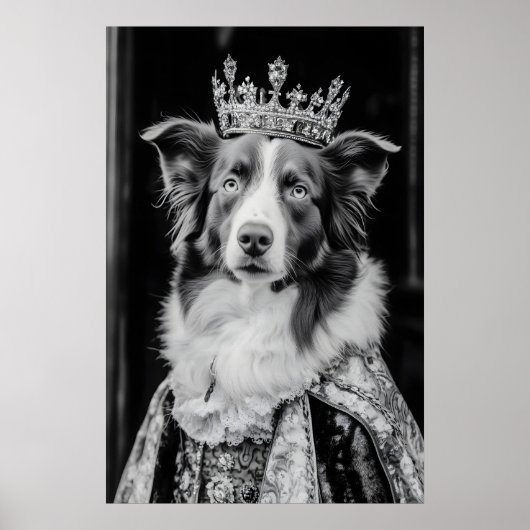 Renaissance Australian Shepherd Portrait, Royal Poster (Vorne)