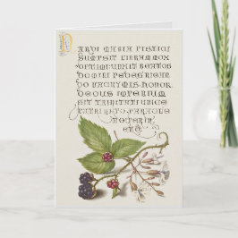 Renaissance BlackBerry Fruit Calligraphy Karte