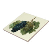 Renaissance Era Traupes von Jacques le Moyne Fliese (Seite)