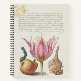 Renaissance-Kalligrafiekunst rosa Tulpe und Birne Notizblock