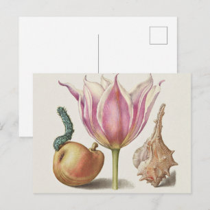 Renaissance-Kalligrafiekunst rosa Tulpe und Birne Postkarte