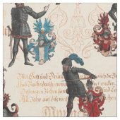 Renaissance-Ritter Antike deutsche Militärrüstung Stoff (Nahaufnahme)