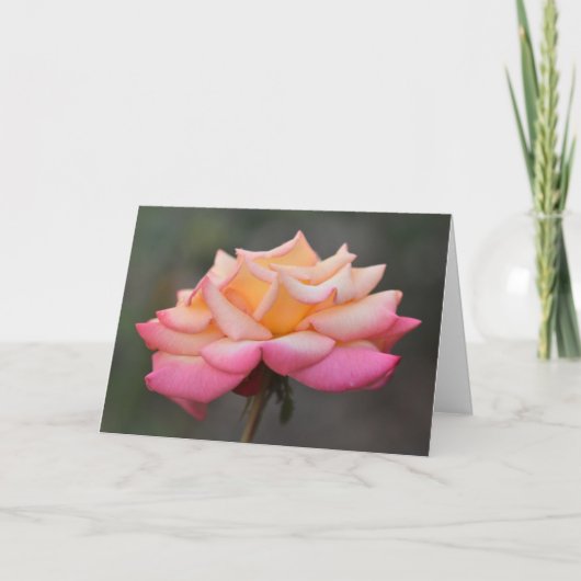 Renaissance Rose 1 Karte (Vorderseite)