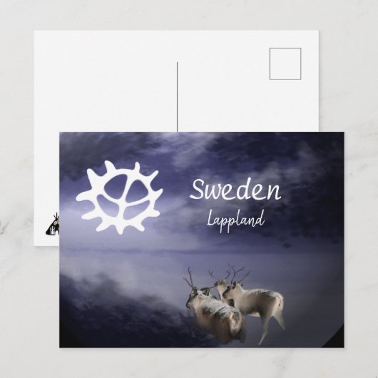 Renar på fjäll vinter postkarte (Vorne/Hinten)