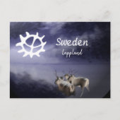 Renar på fjäll vinter postkarte (Vorderseite)