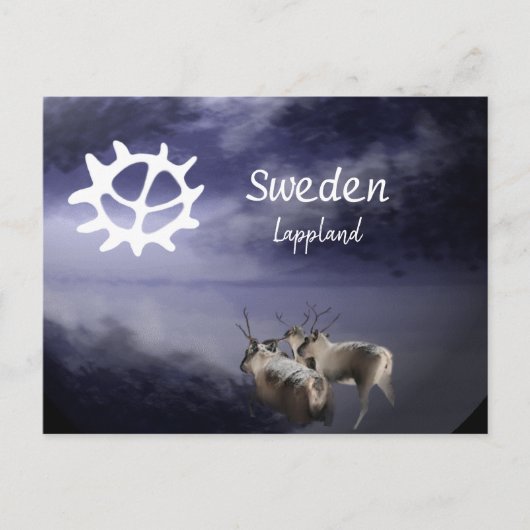 Renar på fjäll vinter postkarte (Vorderseite)