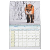 Renard-Kalender, Calendar Fox, Forest Forest Kalender (Jan 2027)