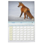 Renard-Kalender, Calendar Fox, Forest Forest Kalender (Feb 2027)