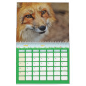 Renard-Kalender, Calendar Fox, Forest Forest Kalender (Mär 2027)