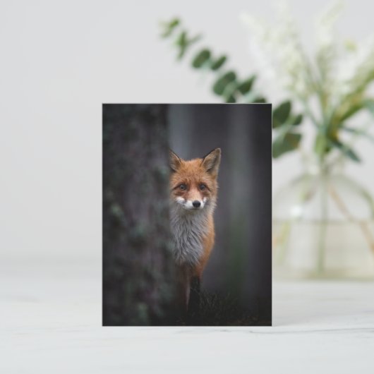 Renard Postkarte (Stehend Vorderseite)