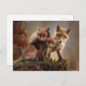 Renards Postkarte (Vorne/Hinten)