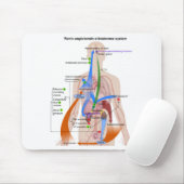 Renin-Angiotensin-System-Diagramm Mousepad (Mit Mouse)