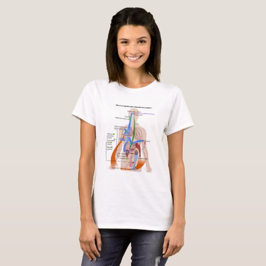 Renin-Angiotensin-System-Diagramm T-Shirt (Vorne ganz)