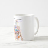 Renin-Angiotensinsystem (RAS) Diagramm Kaffeetasse (VorderseiteRechts)