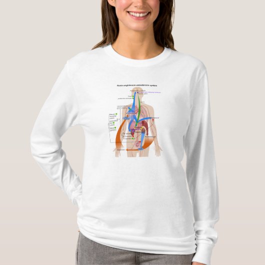 Renin-Angiotensinsystem (RAS) Diagramm T-Shirt (Vorderseite)