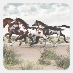 Renn wie der Wind - Galoppierende Paint Horses Quadratischer Aufkleber