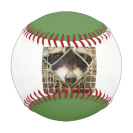 Rennbaseball Baseball