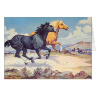 Rennen der Stallions