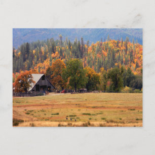 Rennen im Herbst.... Postkarte