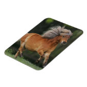 Rennen Magnet (Linke Seite)