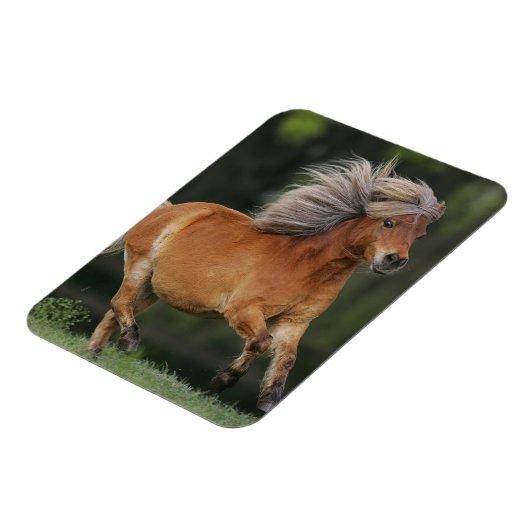 Rennen Magnet (Linke Seite)