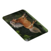 Rennen Magnet (Rechte Seite)