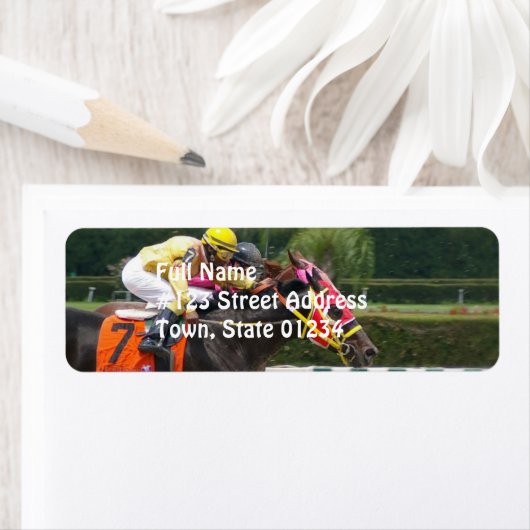 Rennen-Pferd-8 (Insitu)