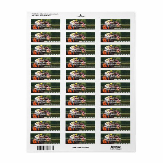 Rennen-Pferd-8 (Vorne)