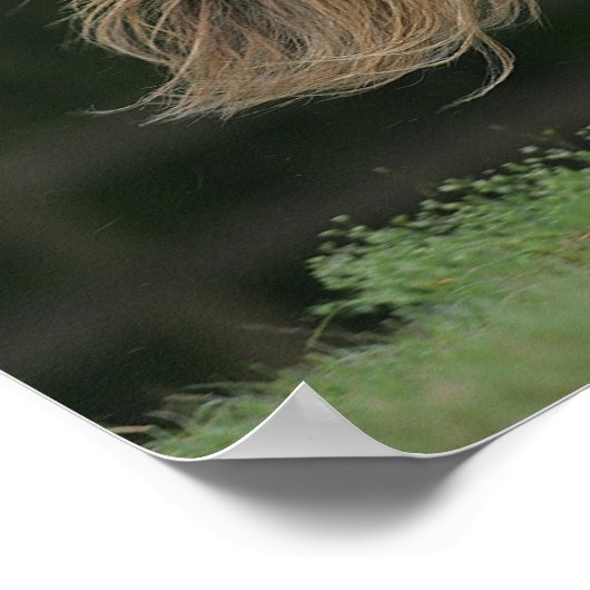 Rennen Poster (Ecke)