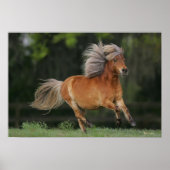 Rennen Poster (Vorne)