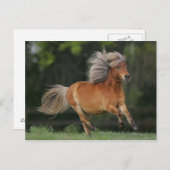 Rennen Postkarte (Vorne/Hinten)