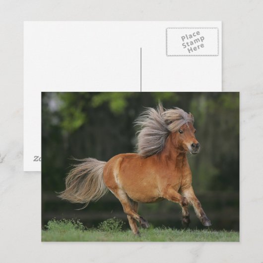 Rennen Postkarte (Vorne/Hinten)