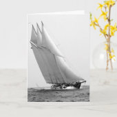 Rennjacht Atlantic, 1904 Karte (Gelbe Blume)