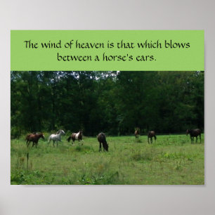 Rennpferd-Rettungs-Stützplakat Poster