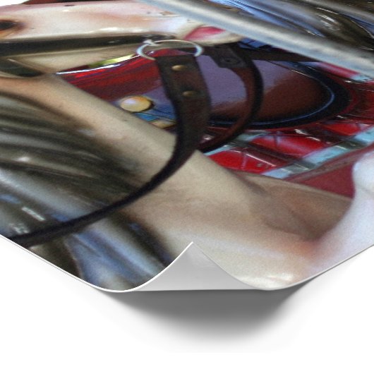 Rennpferde Poster (Ecke)