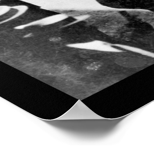 Rennstrecke Saratoga 1913 Poster (Ecke)