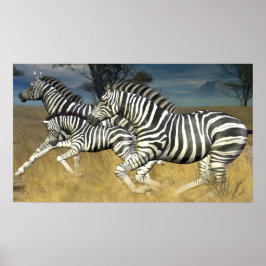 Rennstreifen - Herd des Zebra Poster-Prints Poster