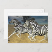Rennstreifen - Zebra Postkarte (Vorne/Hinten)