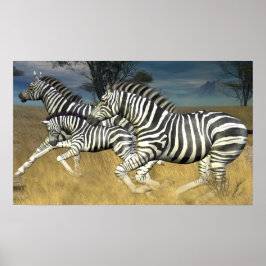 Rennstreifen - Zebra Print laufen Poster