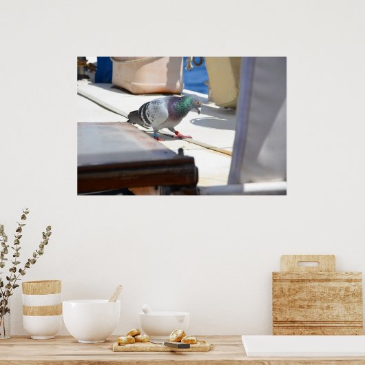 Renntaube Poster (Küche)