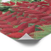 Renovierte Farbe Henri Rousseau Tropischer Dschung Poster (Ecke)