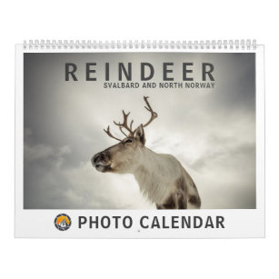 Rentier 2024 kalender