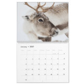 Rentier 2026 kalender (Jan 2027)