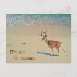 Rentier am Strand surreal Frohe Weihnachten Postkarte