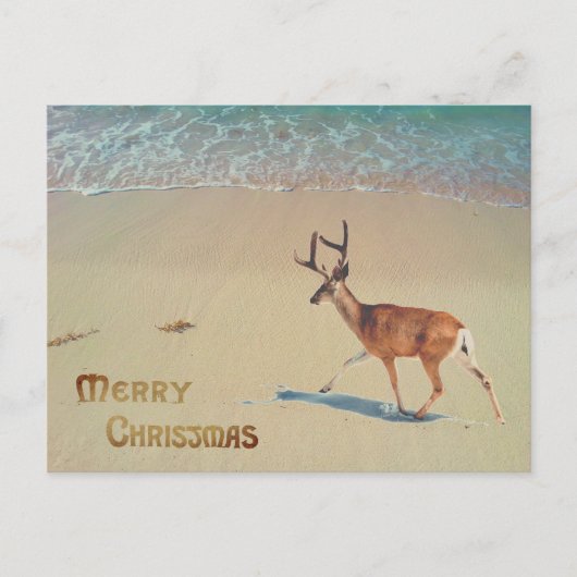 Rentier am Strand surreal Frohe Weihnachten Postkarte (Vorderseite)